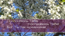Христианское поклонение. Сборник №51