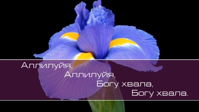 Христианское поклонение. Сборник №52