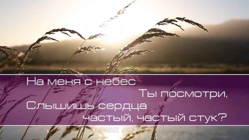 Христианское поклонение. Сборник №142