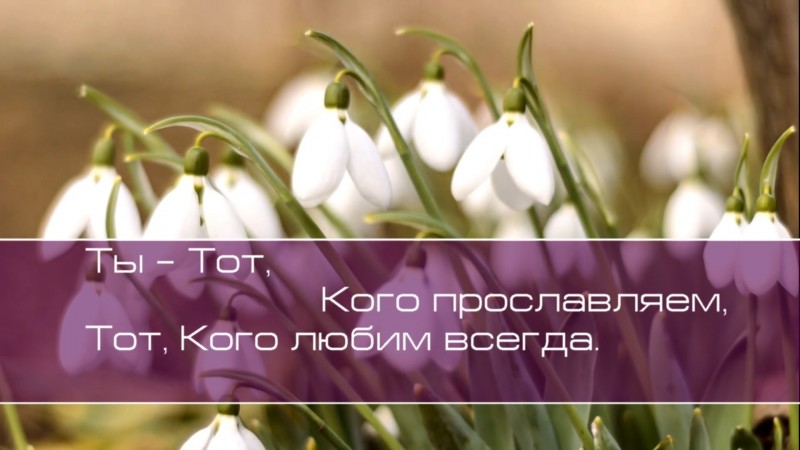 Христианское поклонение. Сборник №126