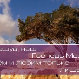 Христианское поклонение. Сборник №82 Христианское поклонение. Сборник №82