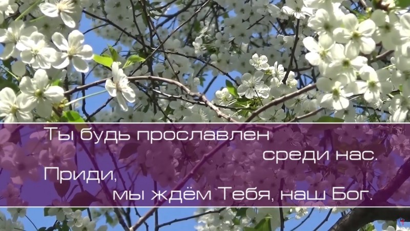 Христианское поклонение. Сборник №78